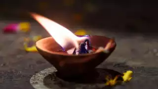 Rescatan a  más de 20  animales que usaban para hacer sacrificios en Nezahualcóyotl