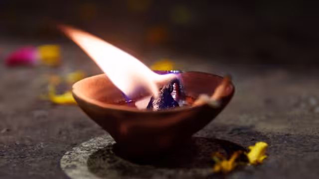 Rescatan animales que iban a ser utilizados en rituales de santería en Nezahualcóyotl