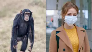 ¿Cuáles son las diferencias entre MPOX y el Covid-19?