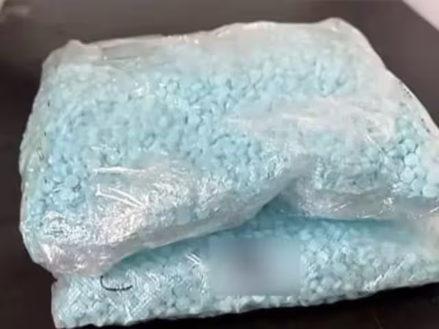 Elementos de la FGR incautaron más de 320 mil pastillas de fentanilo en una empresa de paquetería en Guadalajara