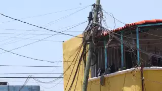 Camión derriba varios postes en la colonia Xoclán Canto de Mérida  