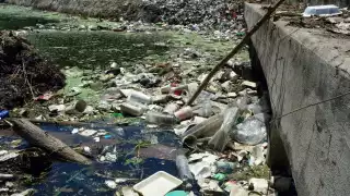 "Amenaza ambiental", llaman a reducir el consumo de plástico de un solo uso en Campeche