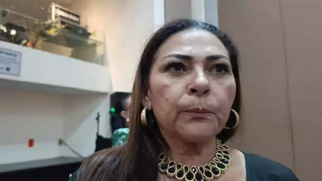 Diputada federal Gabriela Bastos