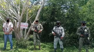 Clausuran 4 hectáreas por tala y cambio ilegal de uso de suelo en Hopelchén, Campeche