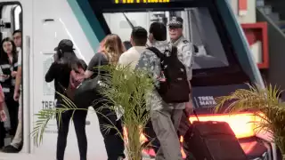 El Jaguar Rodante: Proyecto insignia de AMLO será inaugurado este domingo en Quintana Roo con Sheinbaum 