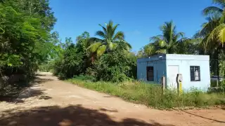 Abuelito intenta apuñalar a su esposa con un desarmador en José María Morelos