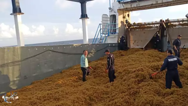 El programa contempla un protocolo de actuación en caso de recale masivo, alerta temprana, así como coordinación y evaluación entre instituciones del Gobierno