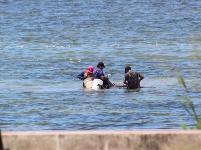 Captura del camaroncito en Champotón sigue pese a prohibición