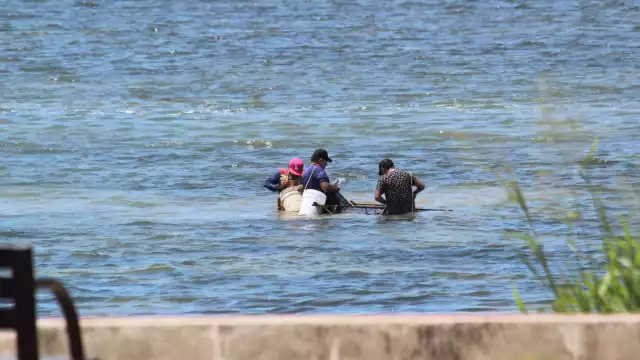 Captura del camaroncito en Champotón sigue pese a prohibición