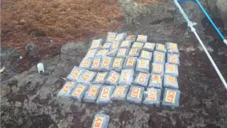 Secretaría de Marina asegura 45 ladrillos de cocaína en Playa del Carmen
