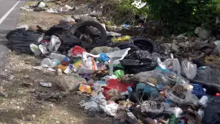 Hampolol sin apoyo del Ayuntamiento de Campeche: Basura, malos olores y vehículos viejos, la lucha diaria