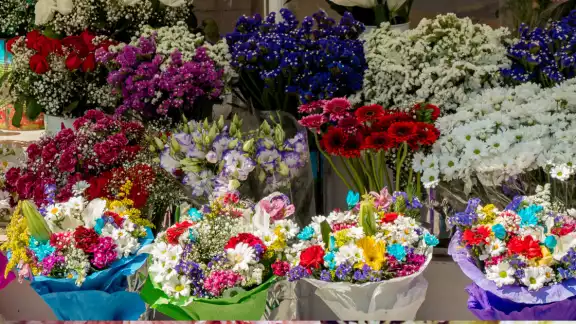 Qué flor te toca según tu mes Qué flor te toca según tu mes