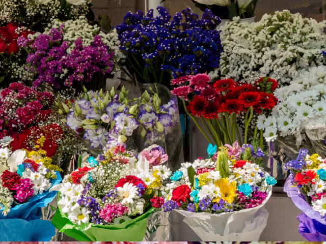 Qué flor te toca según tu mes