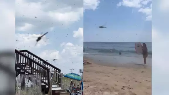 El 27 de julio, un enjambre de libélulas sorprendió a los bañistas en la playa Misquamicut, Rhode Island. El 27 de julio, un enjambre de libélulas sorprendió a los bañistas en la playa Misquamicut, Rhode Island.