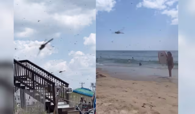 El 27 de julio, un enjambre de libélulas sorprendió a los bañistas en la playa Misquamicut, Rhode Island.