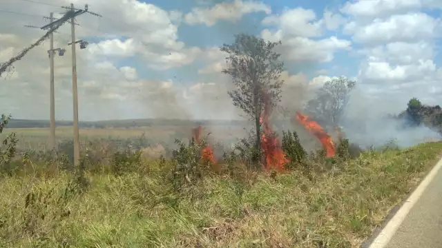Autoridades exhortan a tomar precauciones al conducir.