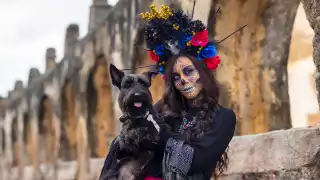 Concurso de mascotas disfrazadas en Hanal Pixán de Puerto Juárez: Fechas y horarios del registro