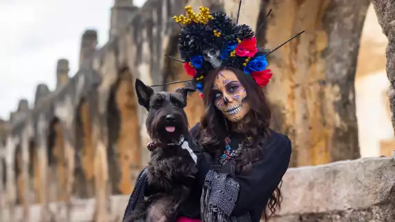 Los disfraces deberán ser de acorde a la temática del Día de Muertos
 Los disfraces deberán ser de acorde a la temática del Día de Muertos