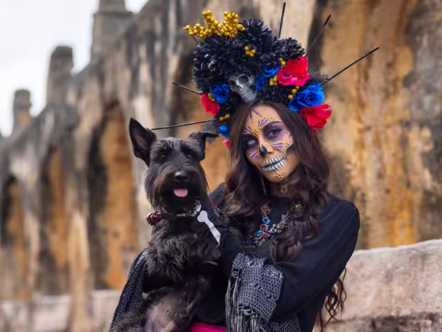 Los disfraces deberán ser de acorde a la temática del Día de Muertos
