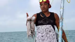 Metales pesados y microplásticos: la amenaza silenciosa en los mares de Campeche