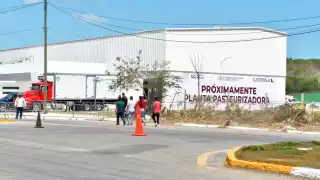 Planta Pasteurizadora de Leche en Campeche sigue en pie pese a plaga en el ganado