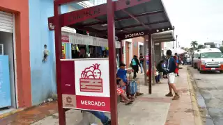 En enero concluiría la red  troncal del transporte urbano  en Campeche