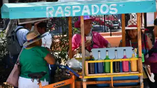 En Campeche, Copriscam realizará censo sanitario para descartar bacterias en aguas y hielos