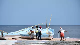 Acusan pescadores que depredadores acabaron con el pulpo   