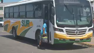 Productores de Hampolol se quejan por reducción del transporte madrugador  