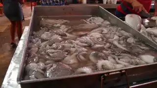 Piden mayor vigilancia en el mar para frenar piratería y pesca ilegal en Campeche