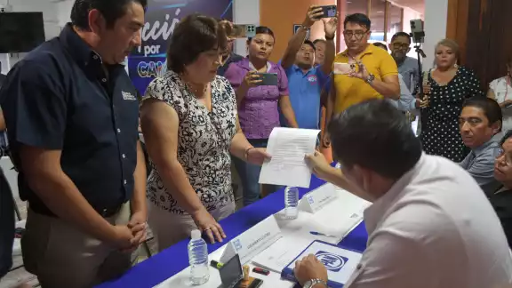 La exdiputada federal y local consideró que hay que dejar de ser satélites de otros partidos para recuperar la dignidad panista.