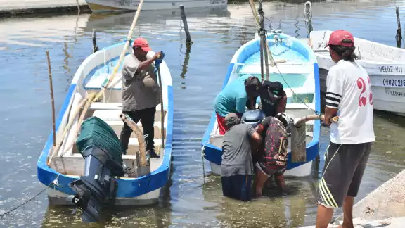 Hombres de mar califican de pésimo este año por la depredación del molusco y el abandono de la autoridad Hombres de mar califican de pésimo este año por la depredación del molusco y el abandono de la autoridad