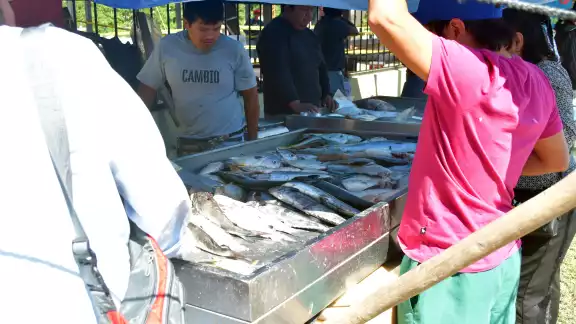 La comercialización del producto marino a mayoreo y menudeo está a la baja.