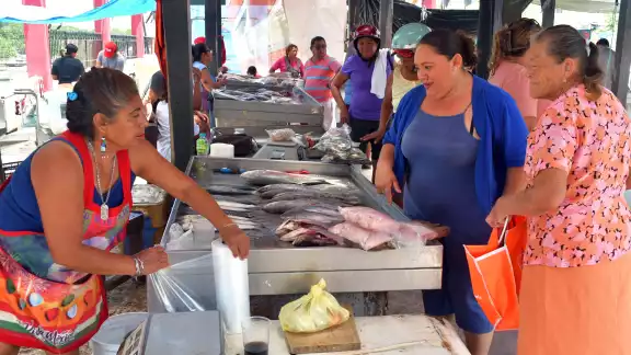 Entre las especies marinas más comercializadas se encuentran el cojinúa, bala, cazón, corvina, cangrejo, la raya y el camarón. Entre las especies marinas más comercializadas se encuentran el cojinúa, bala, cazón, corvina, cangrejo, la raya y el camarón.