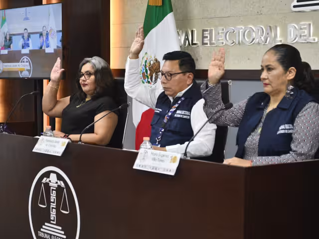 La resolución fue a favor de Movimiento Ciudadano debido a la demora injustificada de 41 días en el pronunciamiento de las medidas cautelares solicitadas.