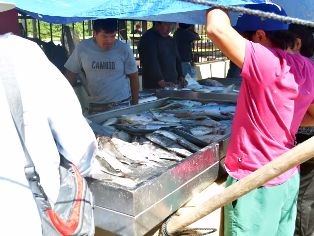 La comercialización del producto marino a mayoreo y menudeo está a la baja.