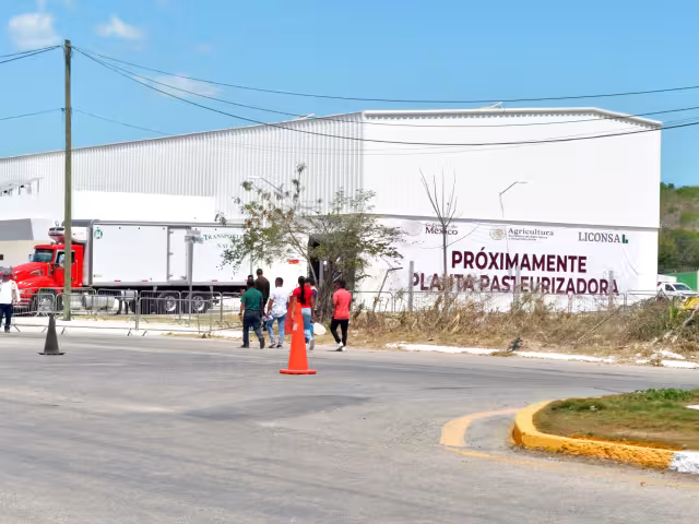 Gusano barrenador no afectará precio ni producción de leche en Campeche