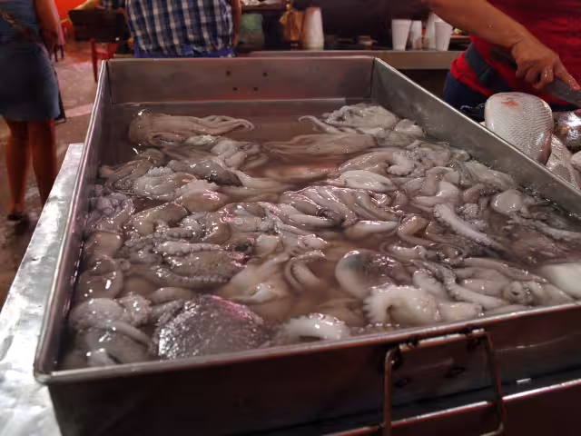 Exigen mano dura contra “piratas”