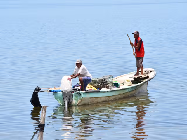 Se consideran acciones para las especies comerciales importantes para Campeche
