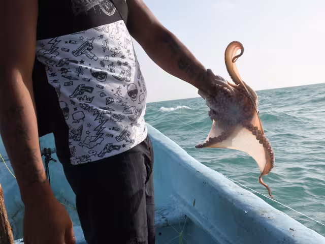 Yuri Peña: urge respetar vedas y generar empleos para frenar la depredación marina