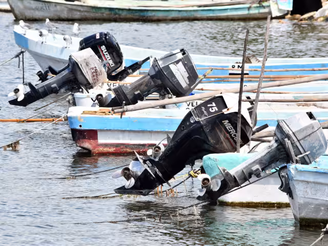 Los pescadores deben hacer la denuncia ante la FGR y la FGE