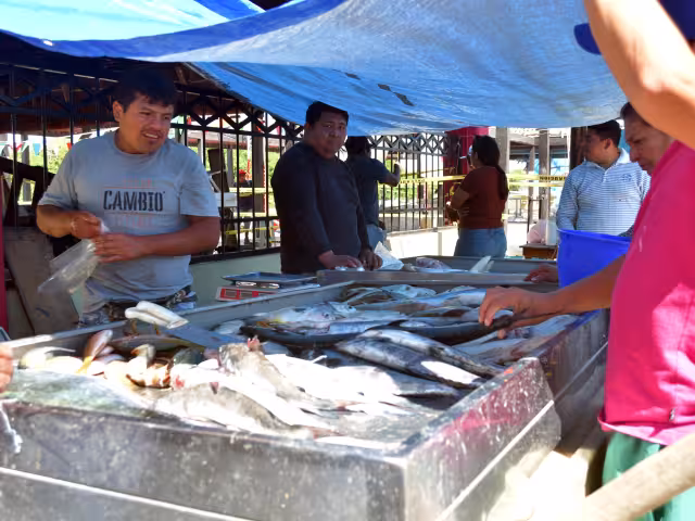 Los expendedores de pescados, mariscos y verduras colocaron sus puestos sobre la banqueta de la avenida Gustavo Díaz Ordaz