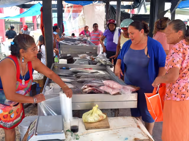 Entre las especies marinas más comercializadas se encuentran el cojinúa, bala, cazón, corvina, cangrejo, la raya y el camarón.
