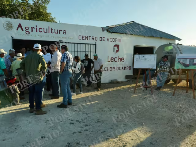 Más leche para todos: así ayuda el nuevo centro en Melchor Ocampo