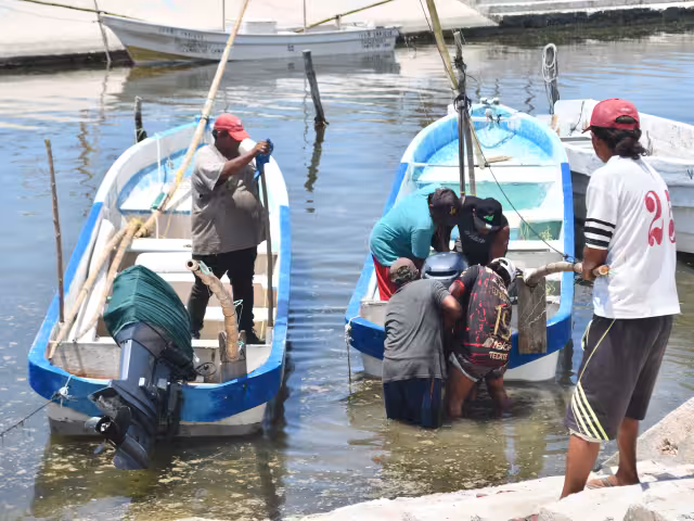 Hombres de mar califican de pésimo este año por la depredación del molusco y el abandono de la autoridad