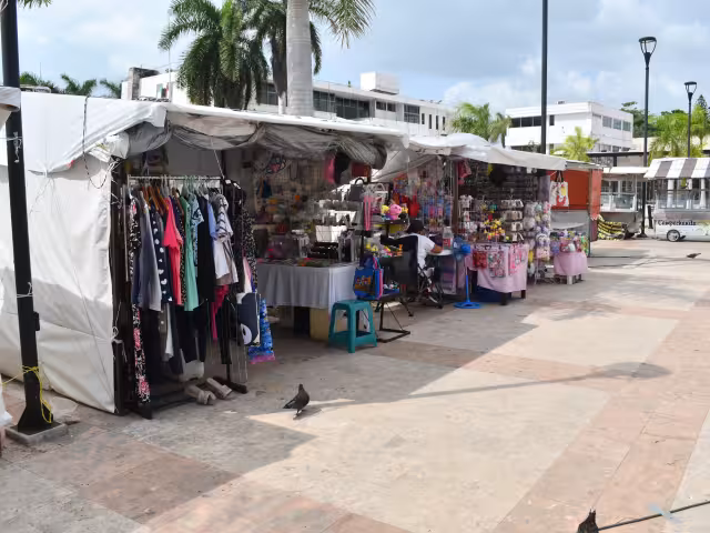 Señalaron que no respetan el sitio que les corresponde.