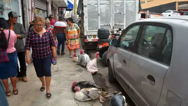 Los comerciantes enfrentan retos debido al costo de la alimentación y cuidado de los animales