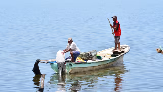 Se consideran acciones para las especies comerciales importantes para Campeche