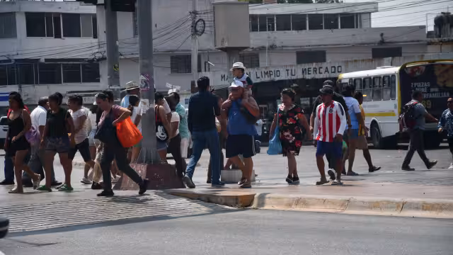 Comentó que se busca trabajar junto con autoridades