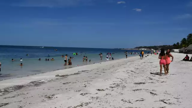 Antes del asueto se tomaron muestras de cada lugar.